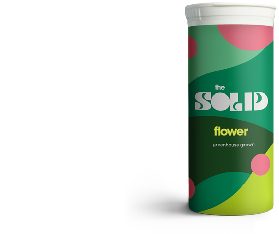 The Solid flower playful tube container