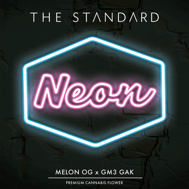 learn more about Neon