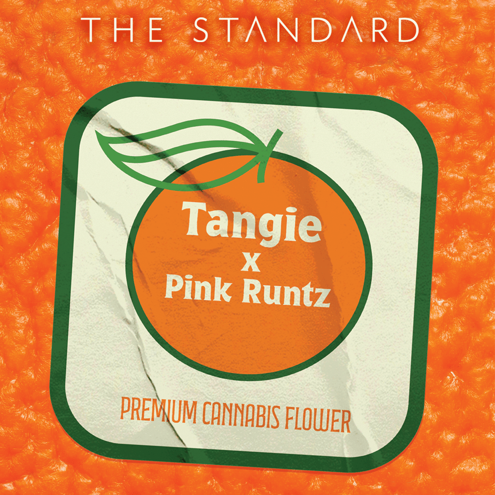 Tangie x Pink Runtz - Standard Wellness